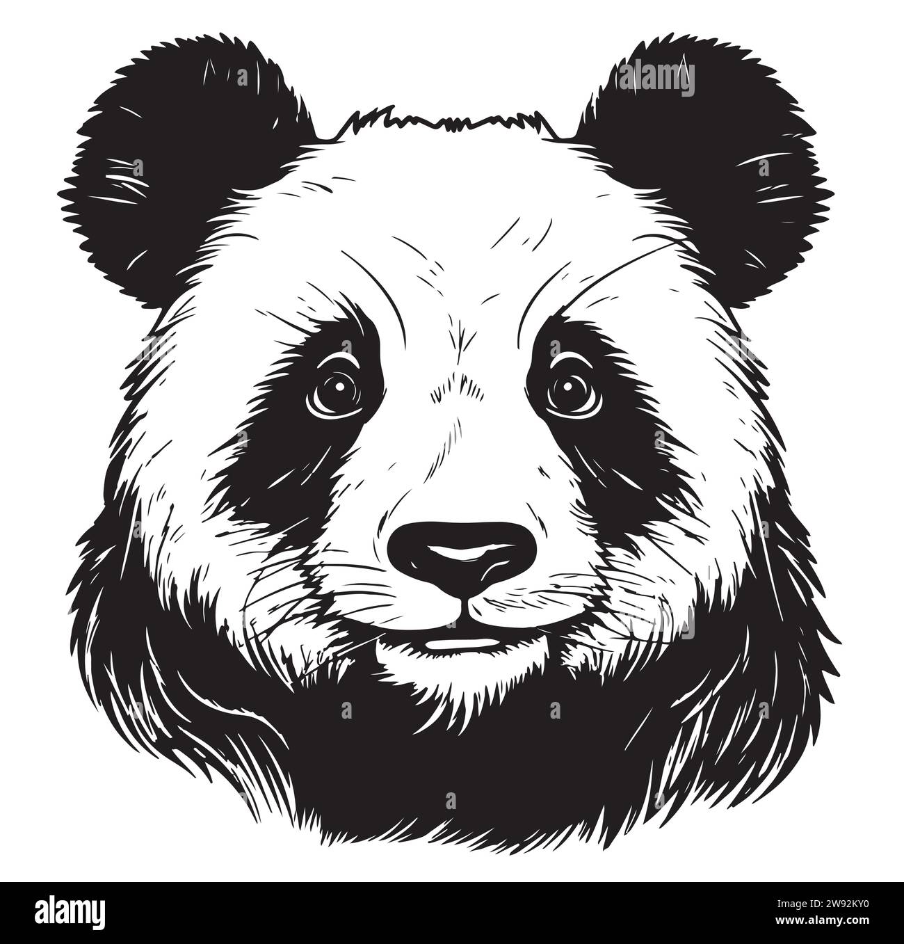 Black and white vector sketch of a Giant Panda face Stock Vector