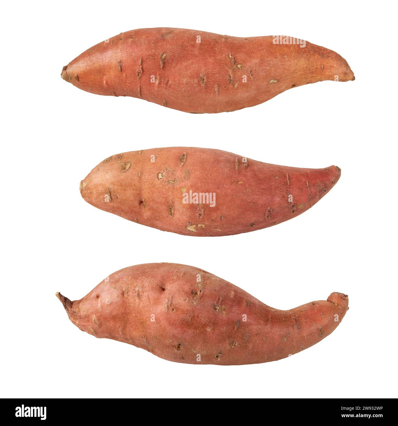 Sweet potato or sweetpotato three whole tubes with red skin isolated on white. Vegetable food staple. Stock Photo