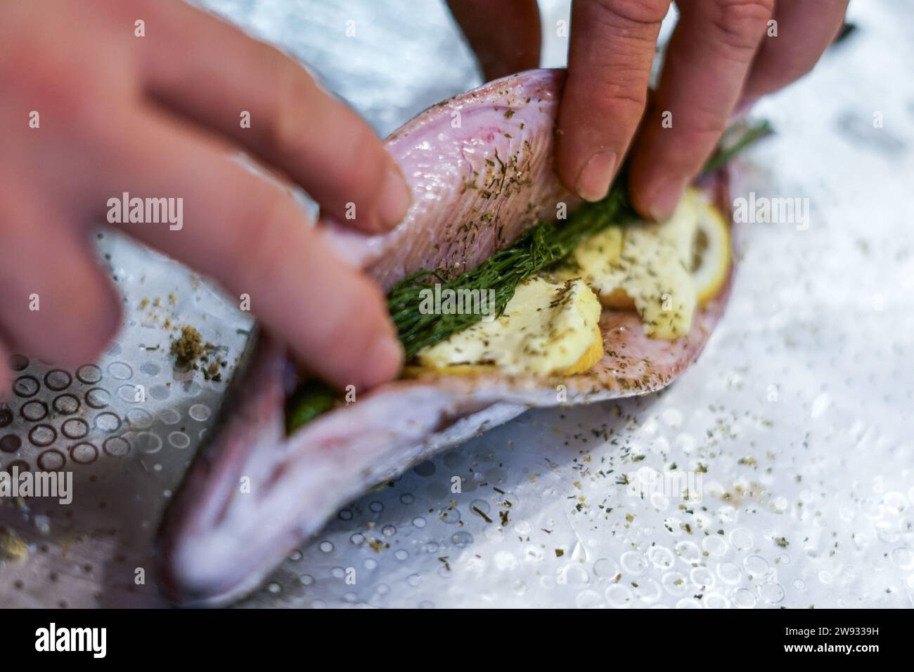 Fresh trout with slices of lemon, orange, butter and dill Stock Photo