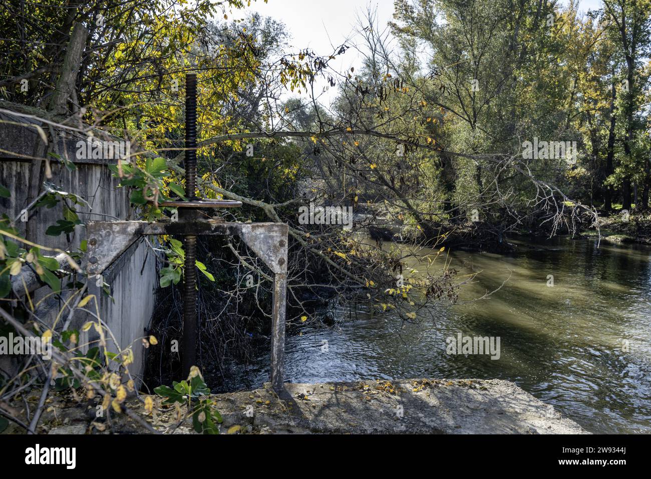 A metal flywheel wrench in a ditch to collect water from a river with many trees and weeds Stock Photo