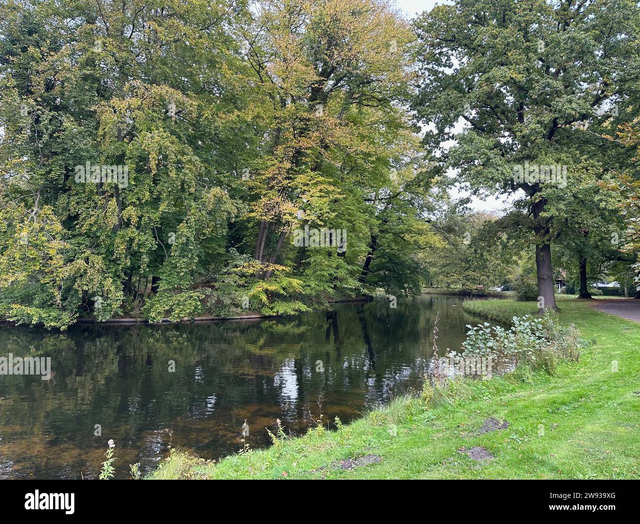 Beautiful water channel and different plants in park Stock Photo