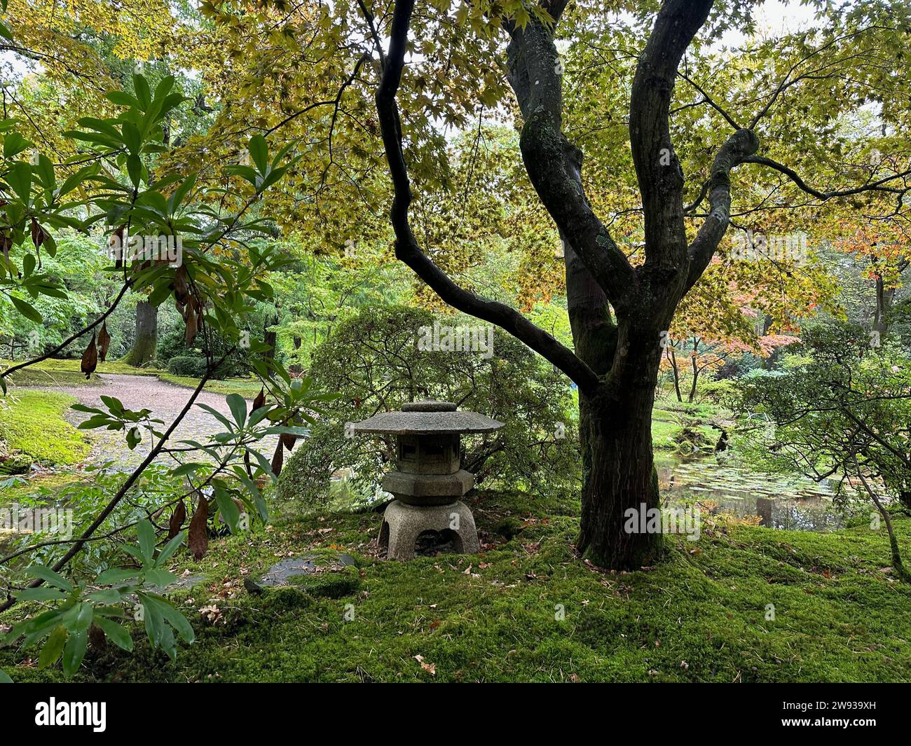 Different plants, stone lantern and little pond in Japanese garden Stock Photo