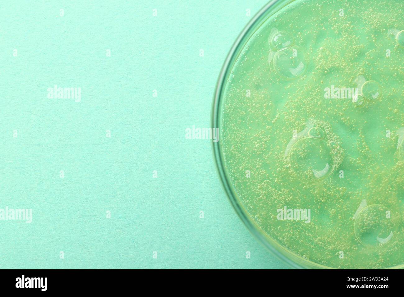 Petri dish with color liquid sample on light blue background, top view ...
