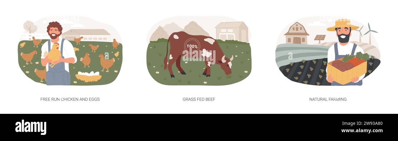 Eco farming isolated concept vector illustration set. Free run chicken ...