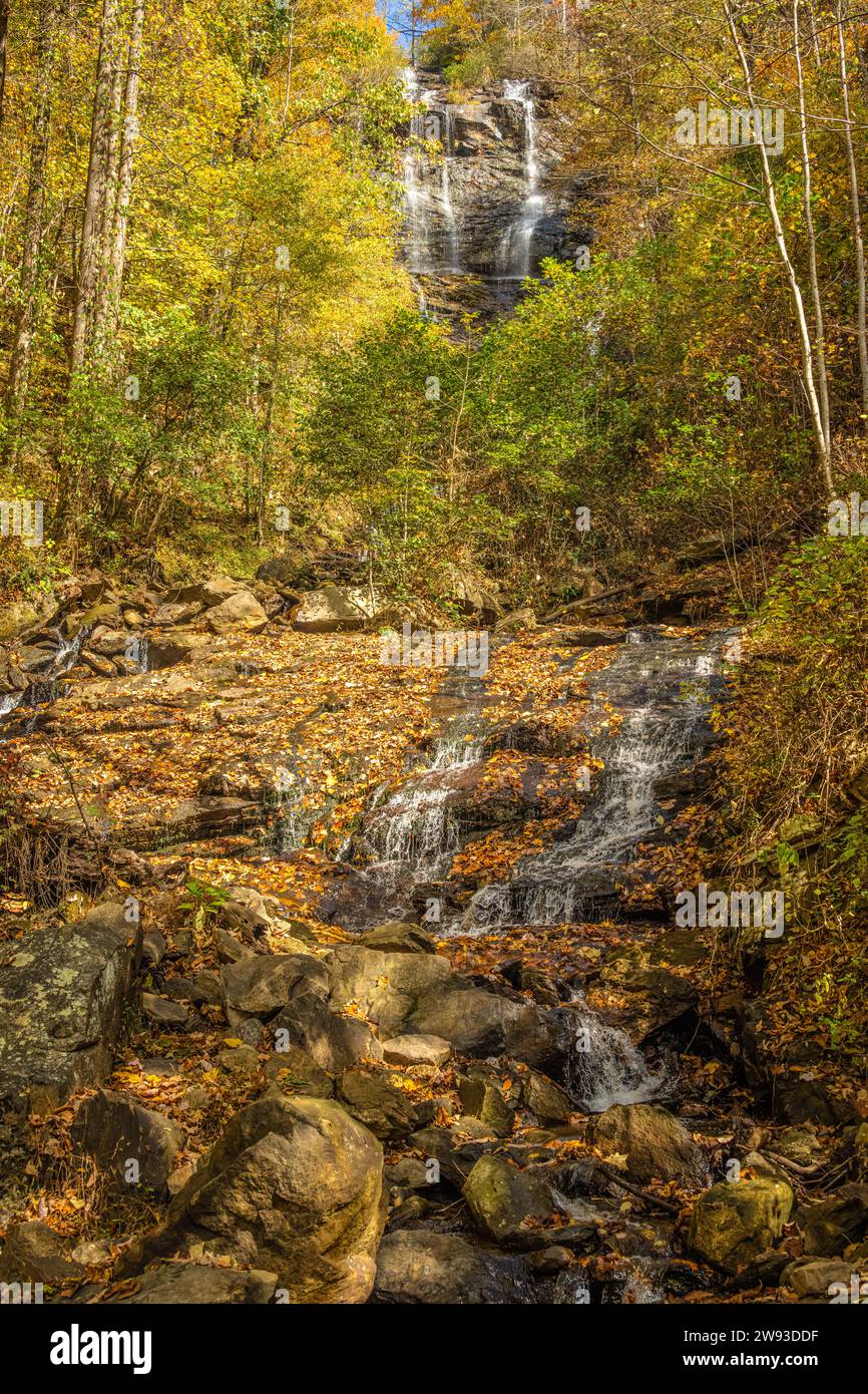 Colorful autumn leaves at Amicalola Falls in Dawsonville, Georgia. (USA) Stock Photo