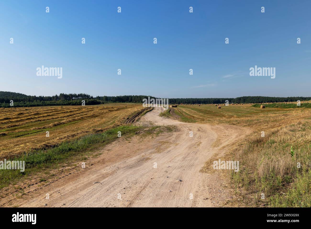 Rural road for cars and transport, ruts and traces of cars on a sandy road in rural areas Stock Photo