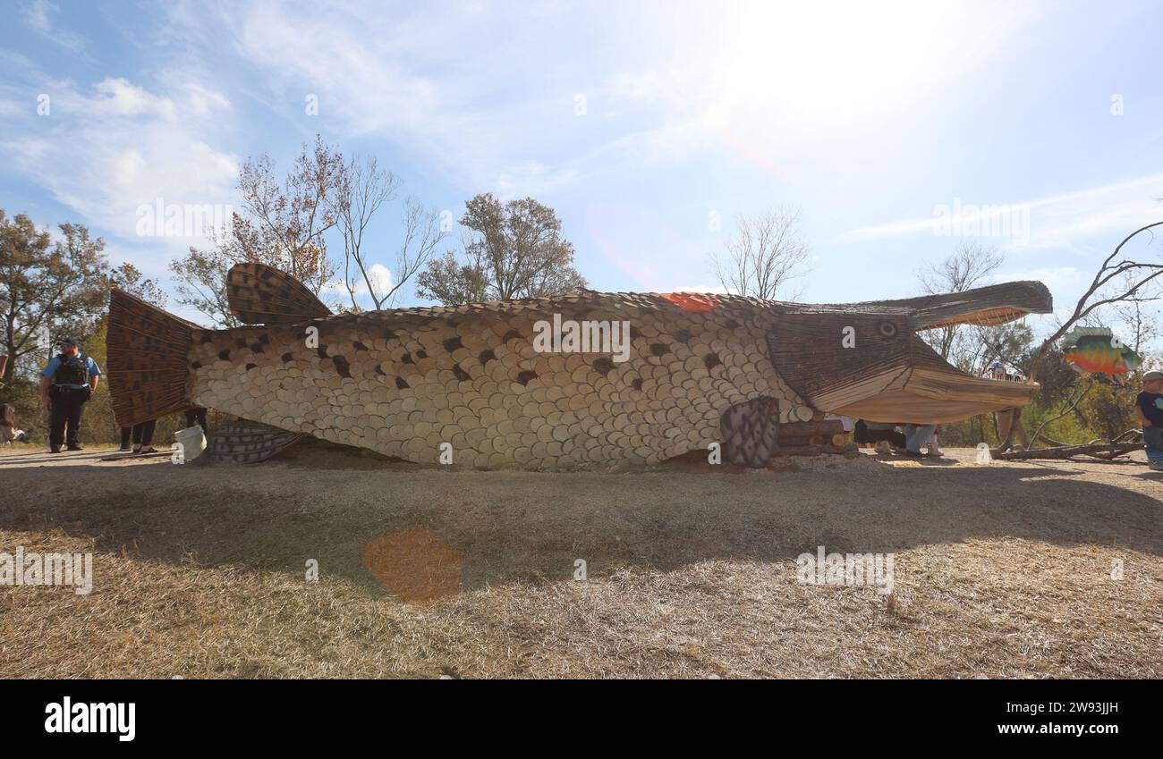 Reserve, USA. 23rd Dec, 2023. “Willis” the Alligator Gar bonfire is on