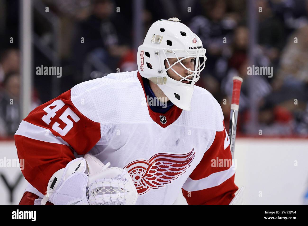 Detroit Red Wings goaltender Michael Hutchinson in action against the ...