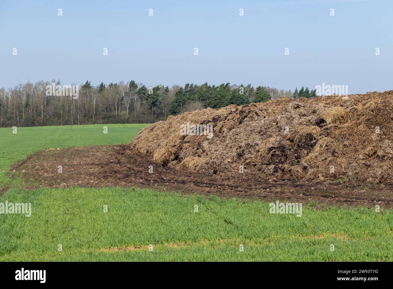 a large amount of manure used as a natural fertilizer in agriculture