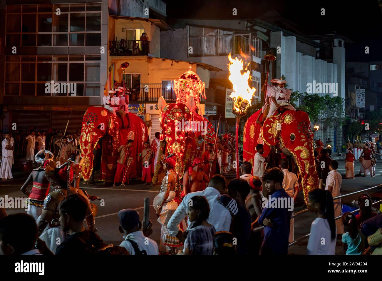 A group of three ceremonial elephants parade on a street at Kandy in Sri Lanka during the Esala Perahera or great procession. Stock Photo