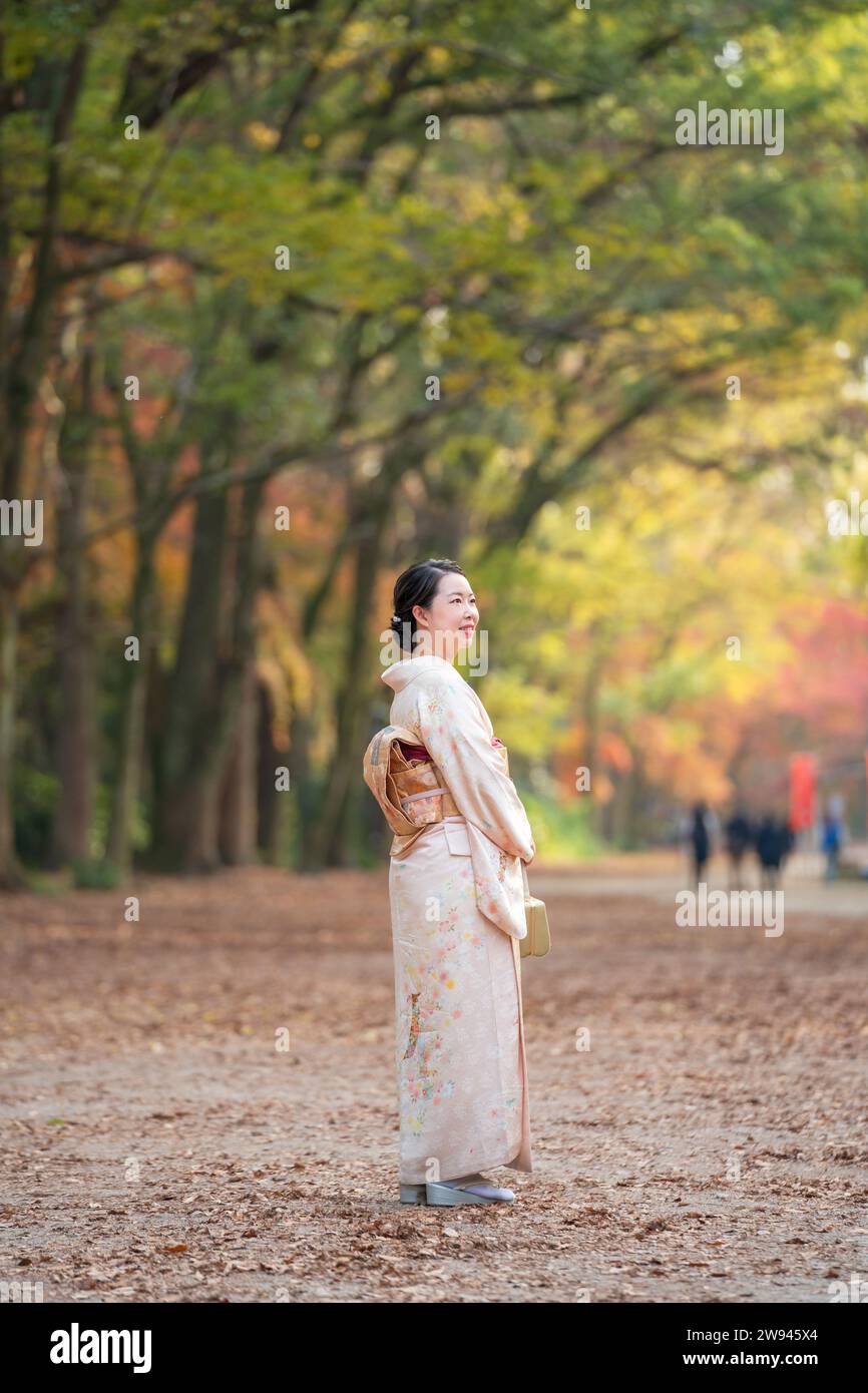 Back view a woman wearing Japanese traditional kimono. Kyoto in autumn
