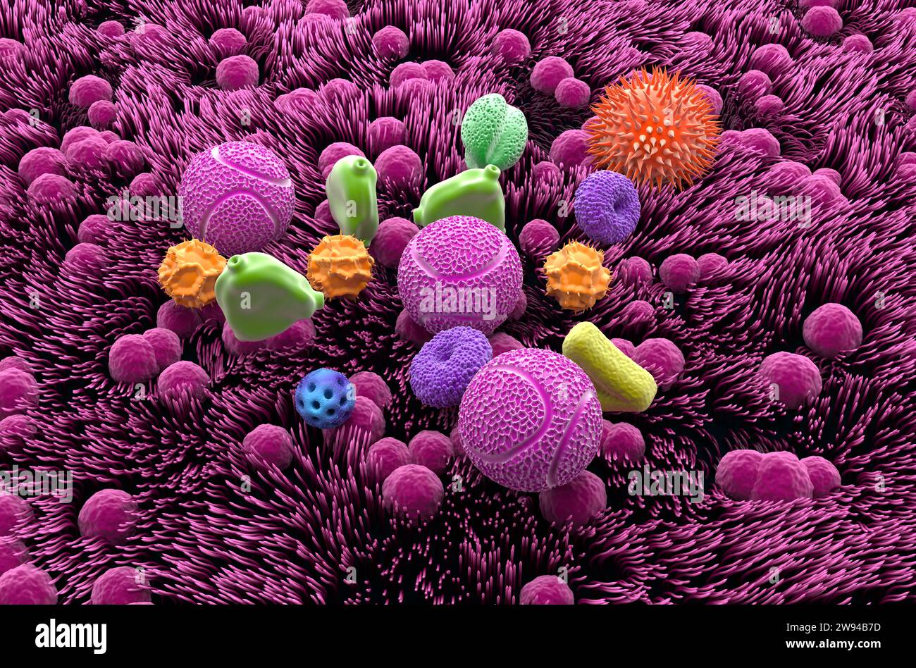Multiple types of pollen grains in the trachea isometric view 3d