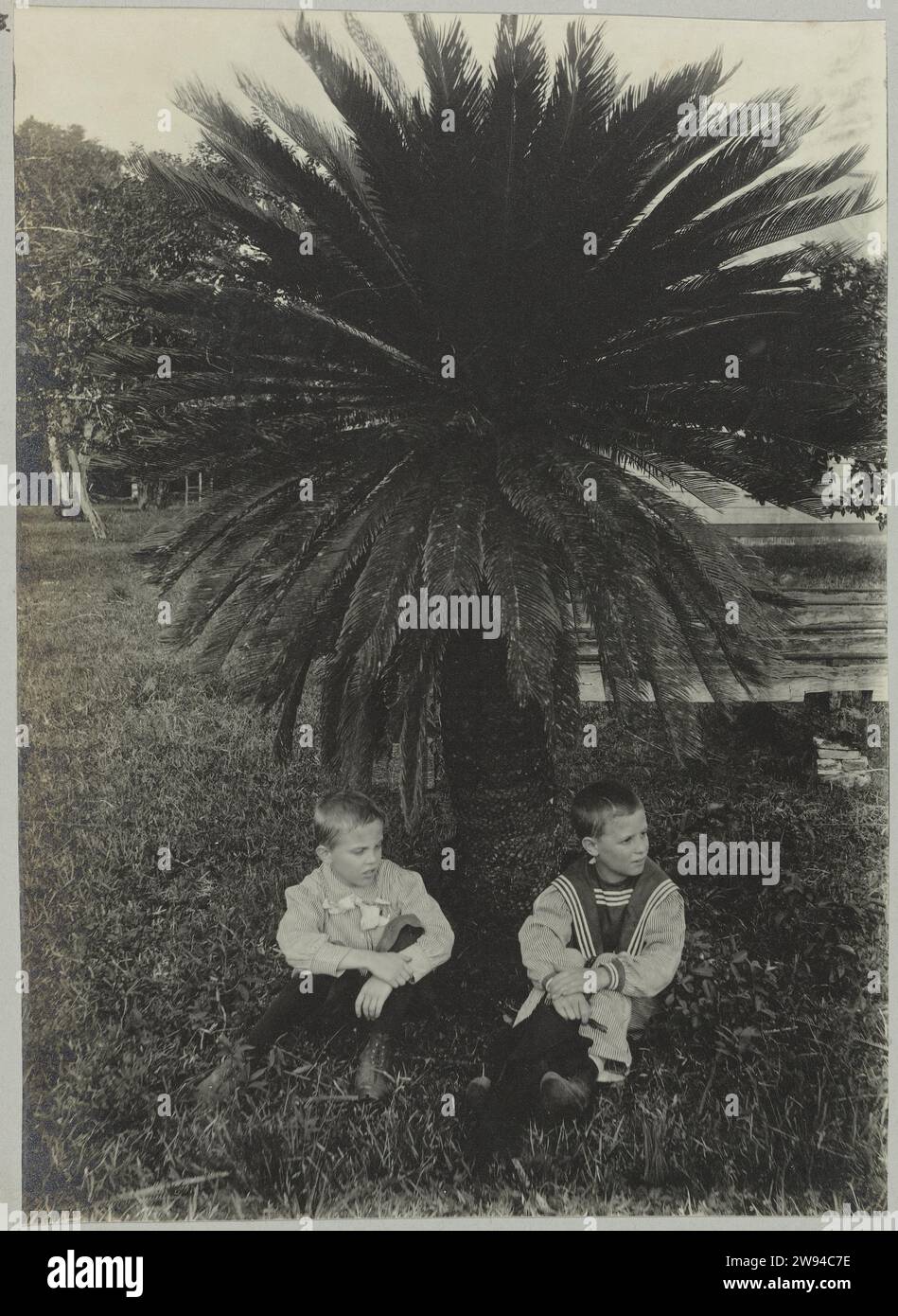 Anton and Piet under Sagopalm. (Tourtonne), 1903 - 1910 photograph Two Dutch boys named Anton and Piet sitting under a sagopalm on the Plantage Tourtonne. Part of the photo album Souvenir de Voyage (part 1), about the life of the Doijer family in and around the MA retreat plantation in Suriname in the years 1903-1910. Suriname photographic support gelatin silver print  Suriname. Planting my retirement. Crap Stock Photo