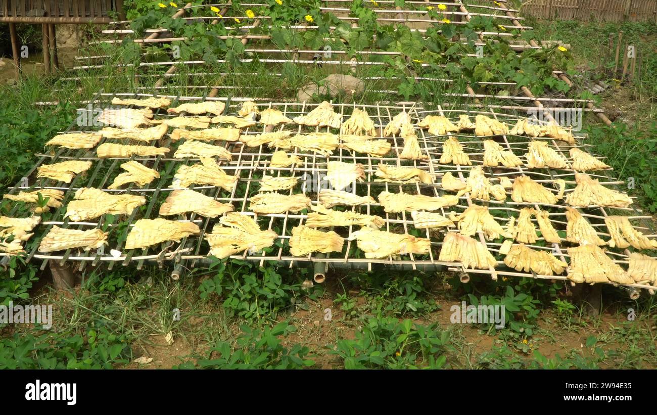 Culinary innovation with bamboo hires stock photography and images Alamy