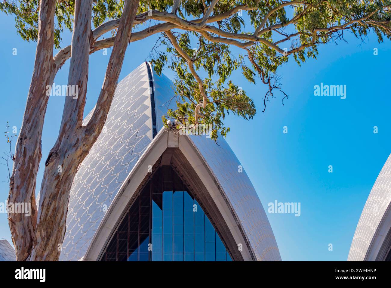 Shells of the sydney opera house up close in sunshine hires stock