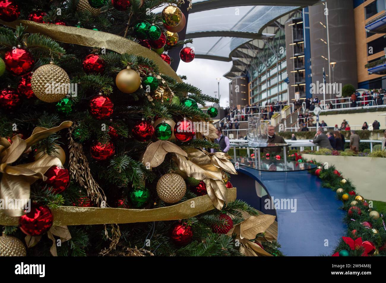 Ascot, UK. 23rd December, 2023. Christmas trees and decorations in the