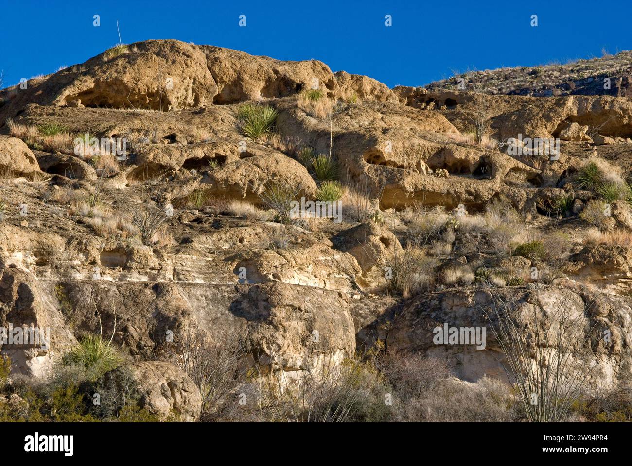 Las Cuevas Amarillas small caves cut in volcanic tuff rock, Native