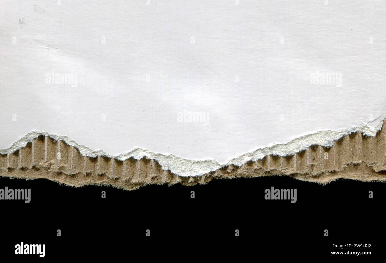 Blank white cardboard texture background Stock Photo