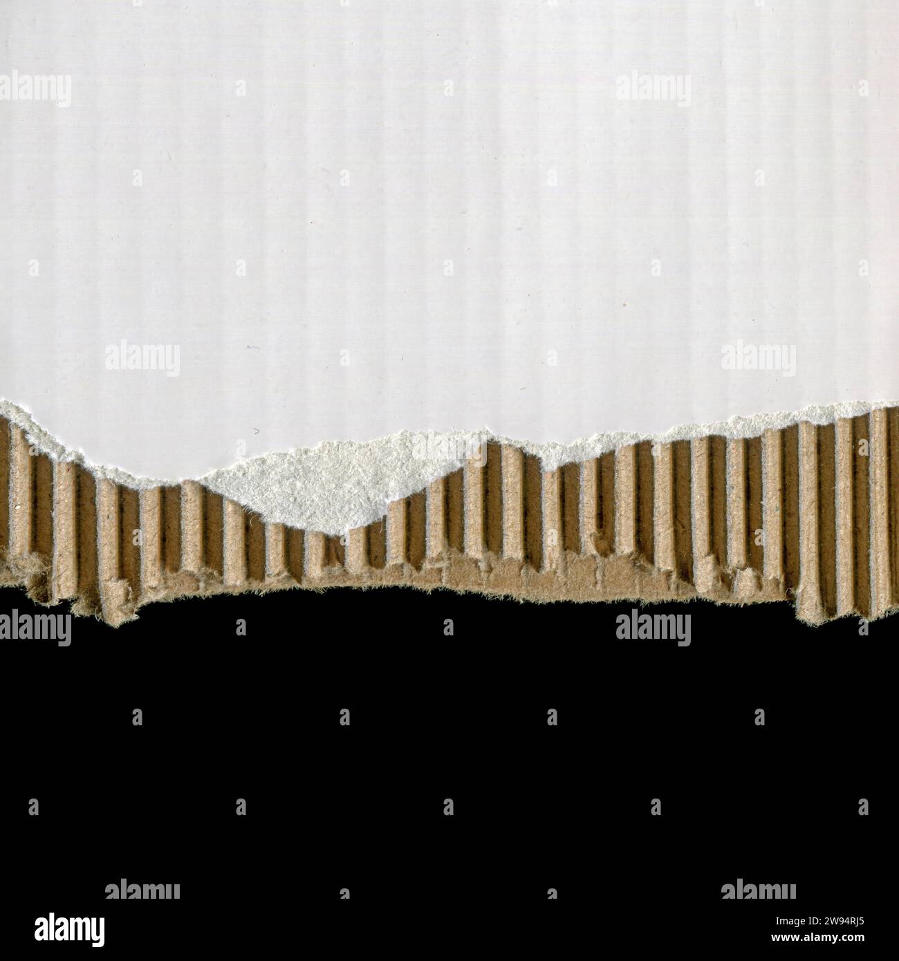 Blank white cardboard texture background Stock Photo