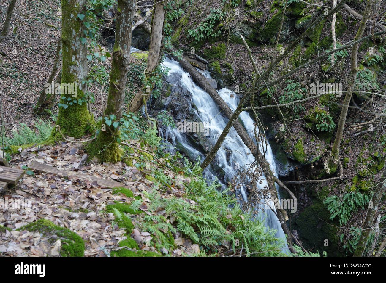 Scenic view of Klidinger waterfall near Bad Bertrich on winter day with long-time exposure Stock Photo