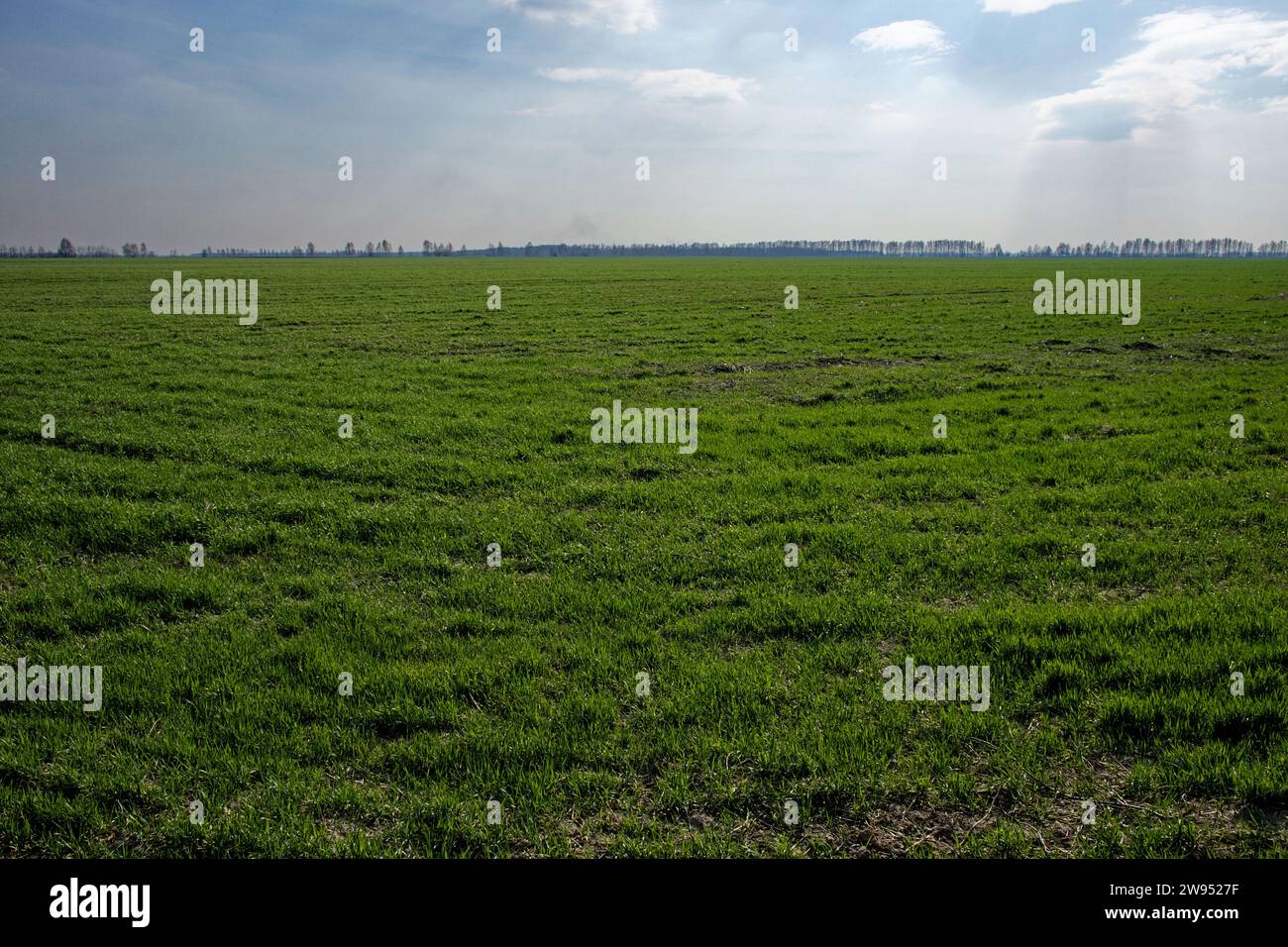Expansive green field hi-res stock photography and images - Alamy