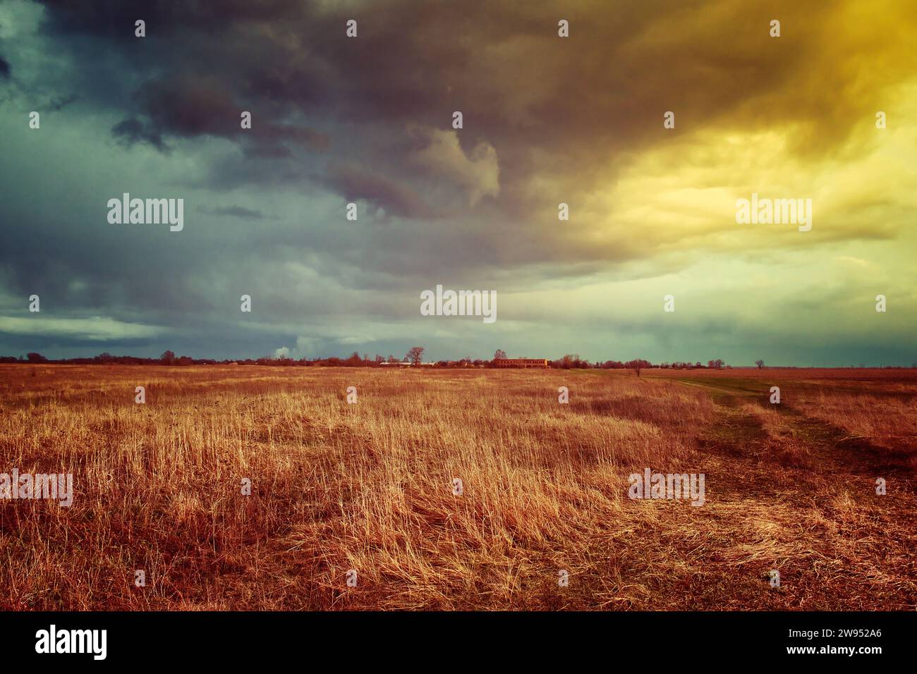The image shows a vast field with dry grass under a dramatic sky filled ...