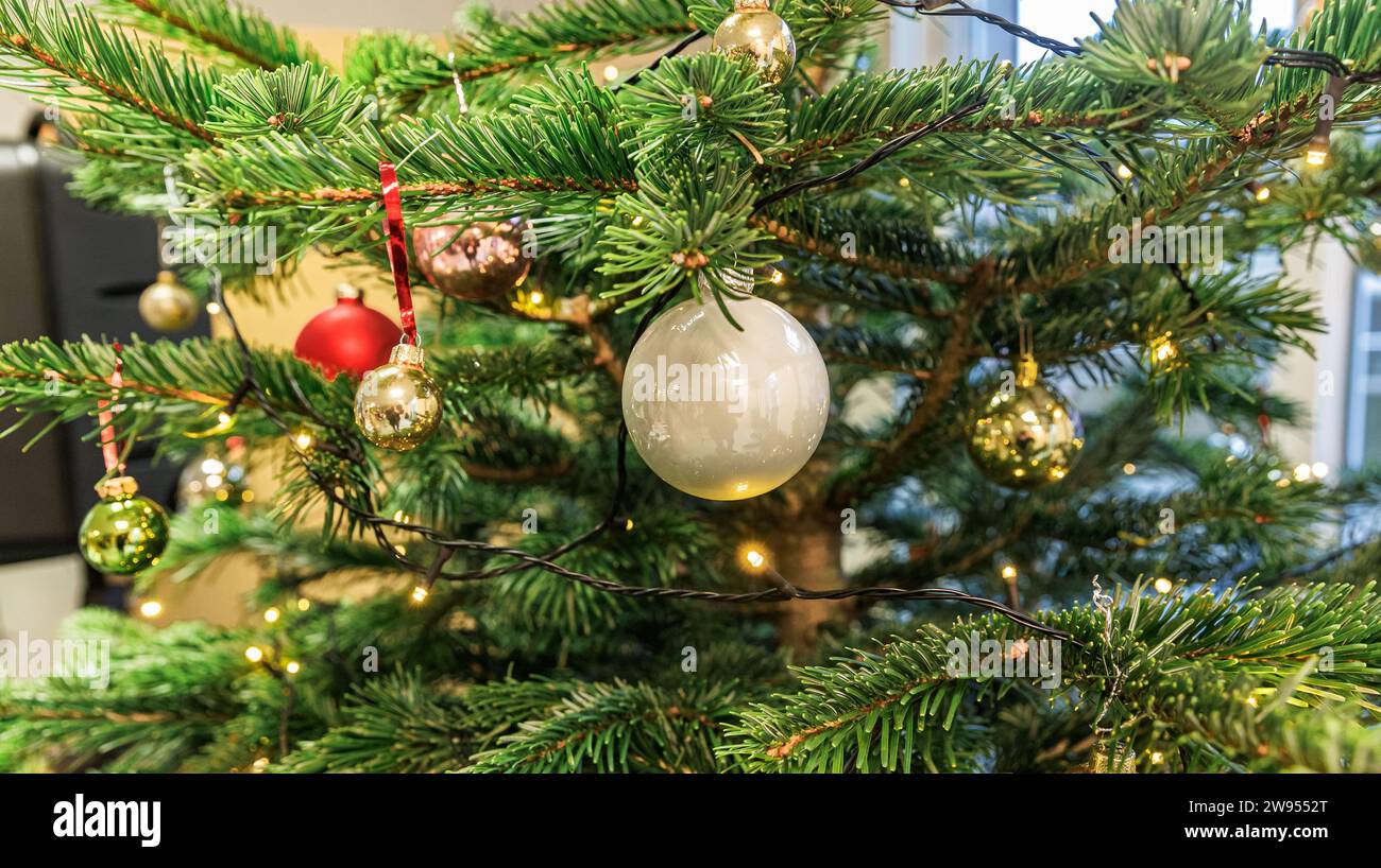 Hamburg, Germany. 24th Dec, 2023. A Christmas tree stands in the Diakonie Hamburg day care center for homeless people. Credit: Markus Scholz/dpa/Alamy Live News Stock Photo