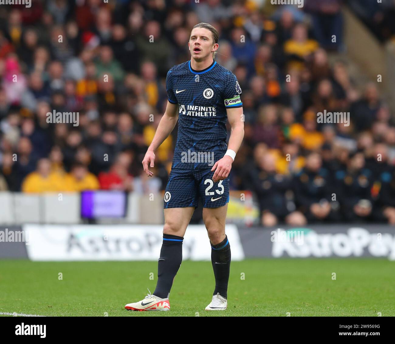 Wolverhampton, UK. 24th Dec, 2023. Conor Gallagher of Chelsea, during the Premier League match Wolverhampton Wanderers vs Chelsea at Molineux, Wolverhampton, United Kingdom, 24th December 2023 (Photo by Gareth Evans/News Images) Credit: News Images LTD/Alamy Live News Stock Photo