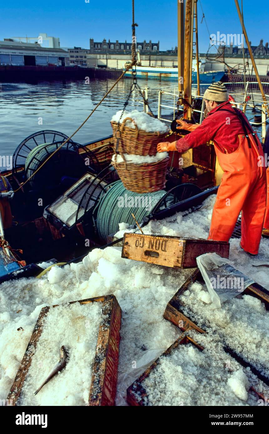 Aberdeen Harbour fisherman unloading baskets of ice from a fishing vessel Stock Photo