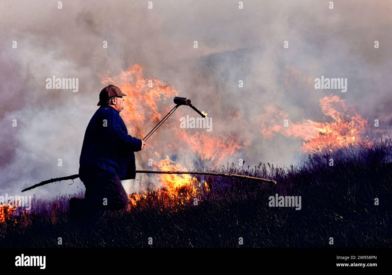 Heather burner and traditional heather burning in Scotland Stock Photo