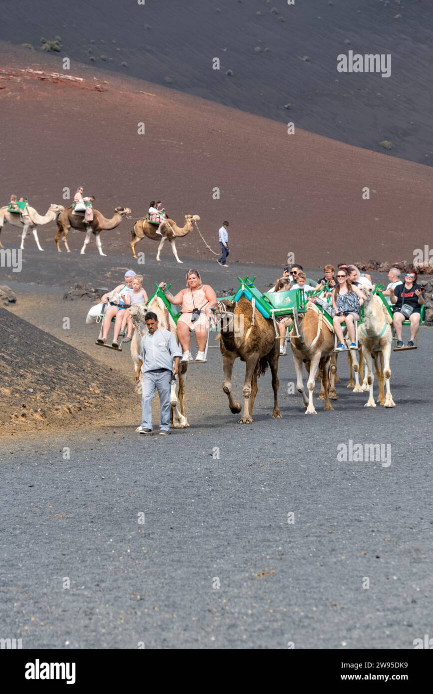 Tourists taking camel rides through Timanfaya National Park, Canary Islands, also known as Parque Nacional de Timanfaya Stock Photo
