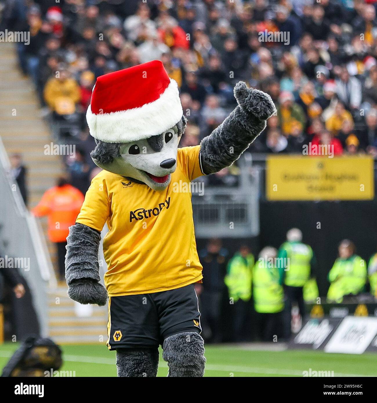 Wolverhampton, UK. 24th Dec, 2023. Wolves' mascot gets into the festive spirit ahead of the Premier League match between Wolverhampton Wanderers and Chelsea at Molineux, Wolverhampton, England on 24 December 2023. Photo by Stuart Leggett. Editorial use only, license required for commercial use. No use in betting, games or a single club/league/player publications. Credit: UK Sports Pics Ltd/Alamy Live News Stock Photo