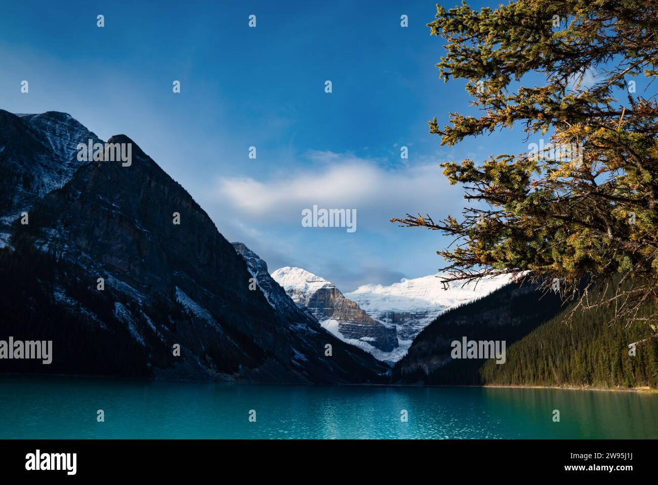lake louise in the mountains Stock Photo - Alamy
