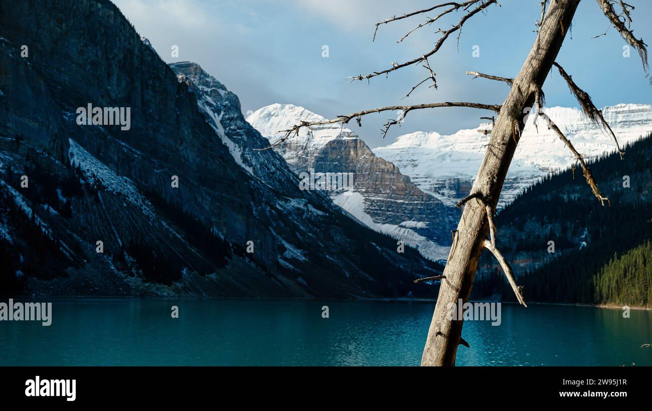 lake louise in the mountains Stock Photo - Alamy