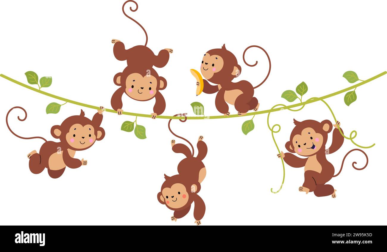 Funny monkey on liana. Cute monkeys hang on vine, tropical exotic wild animals banner. Rainforest childish characters, nowaday vector background Stock Vector