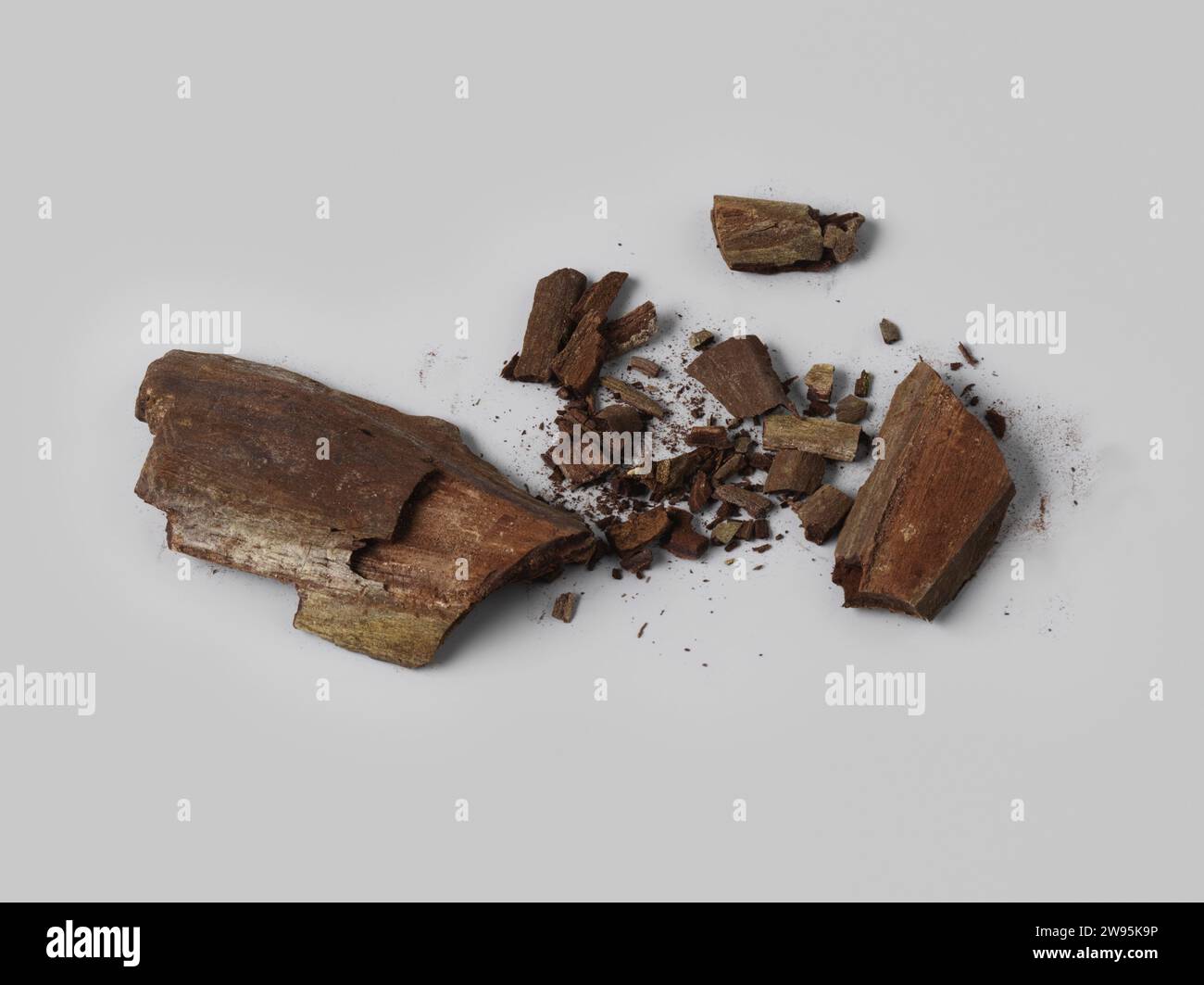 Splinter Fragment Interior hollandia hi-res stock photography and images - Alamy