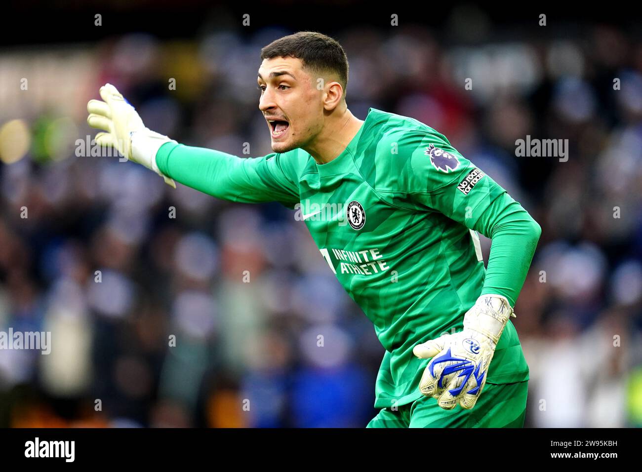 Chelsea goalkeeper Djordje Petrovic during the Premier League match at