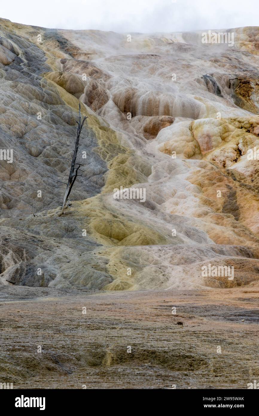 Geothermal formations at Mammoth Hot Springs Stock Photo