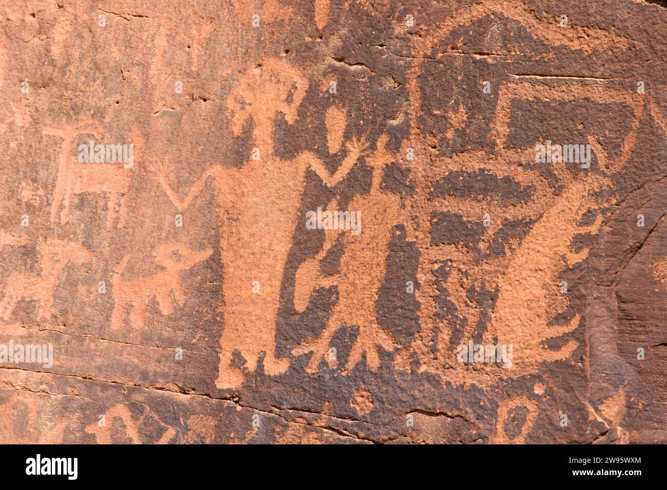 Petroglyphs at Daddy Canyon, Nine Mile Canyon National Backcountry
