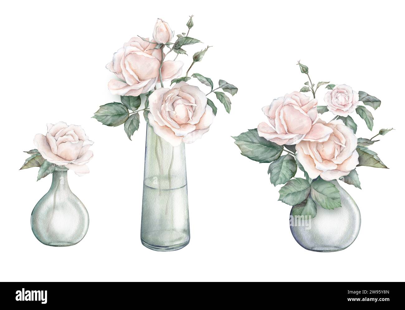 Watercolor set composition from peach fuzz color roses and green leaves ...
