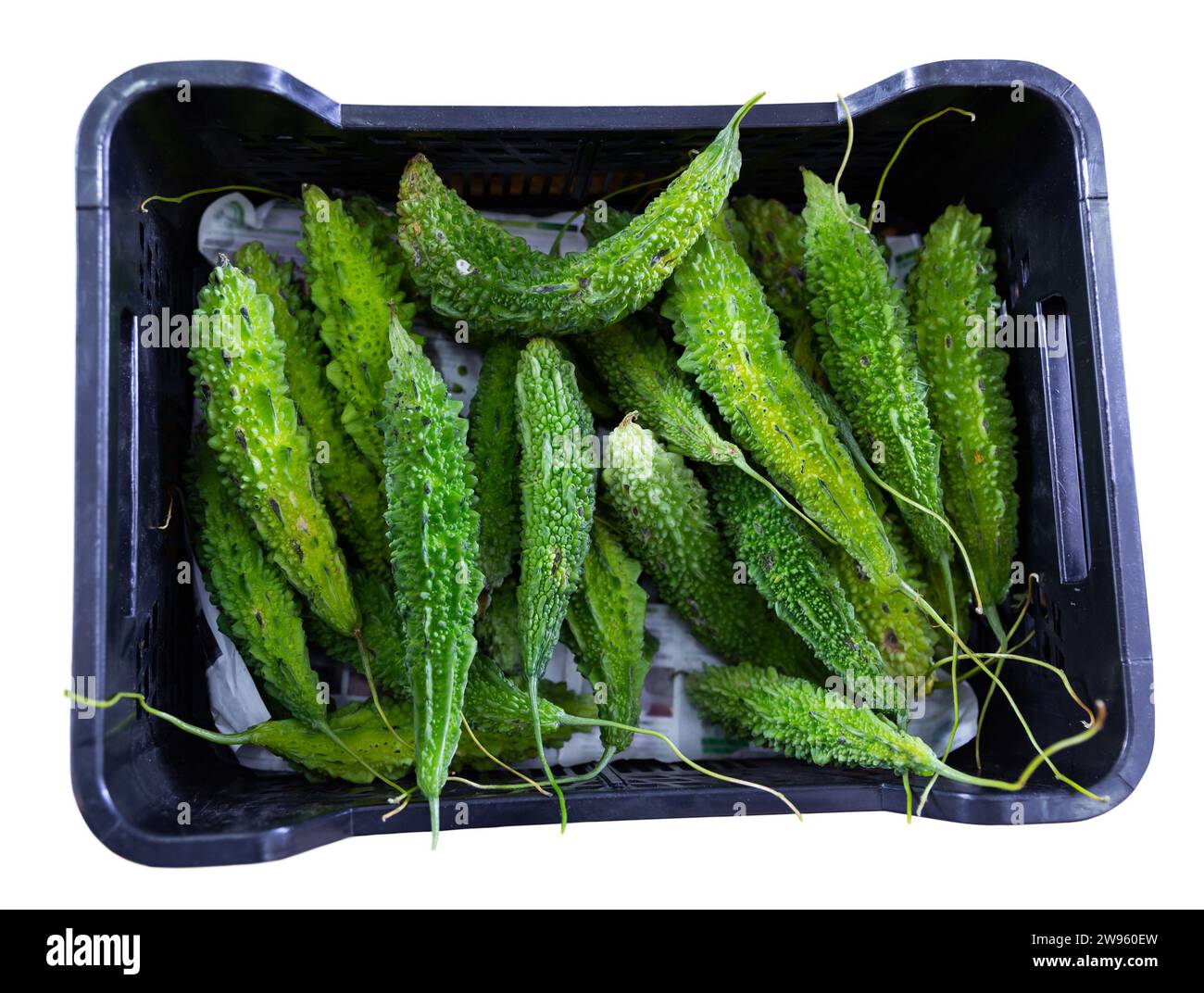 Closeup view of bitter melons in vegetable box Stock Photo Alamy