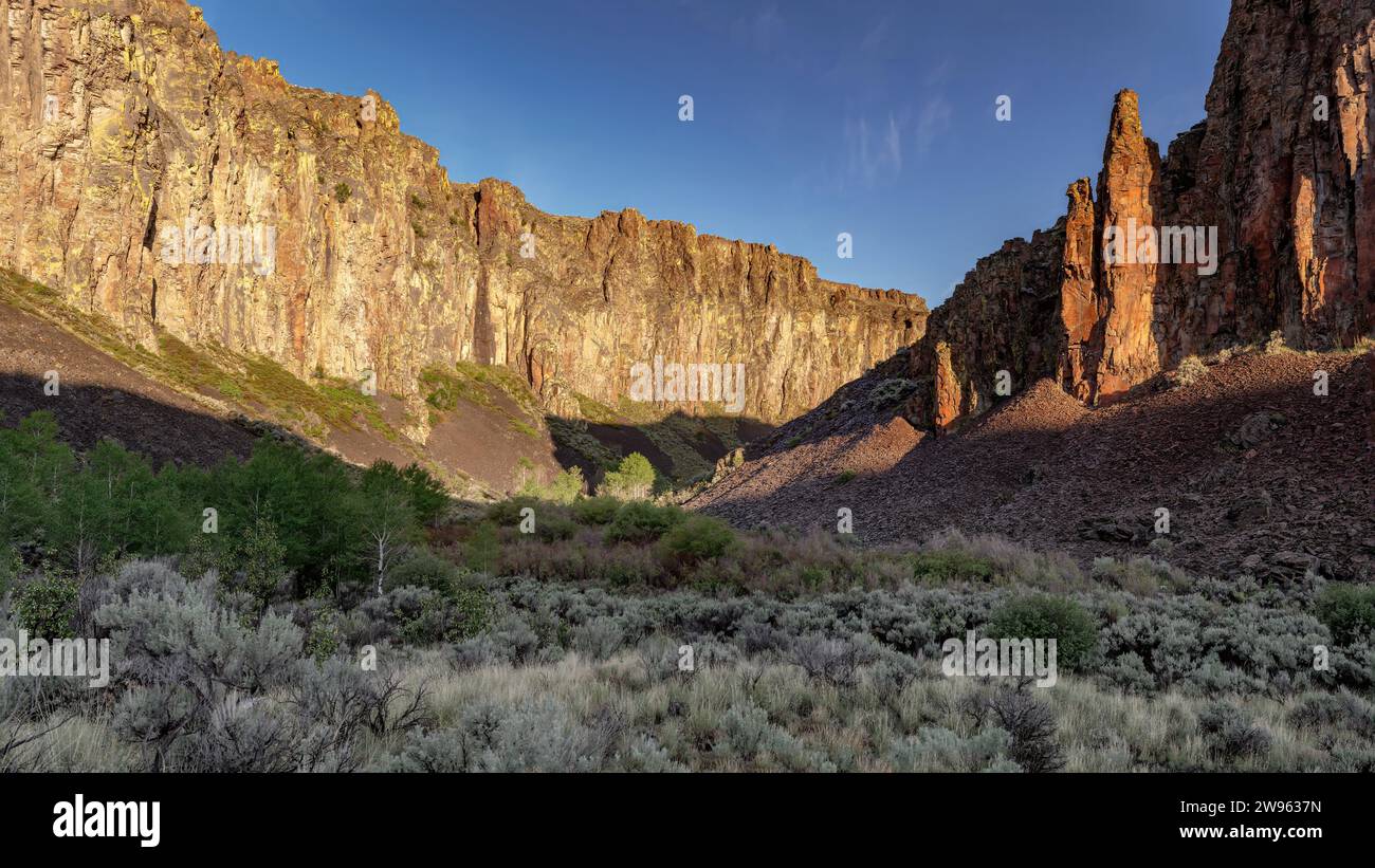 Plants and trees in the bottom of the Owyhee Canyon River Stock Photo