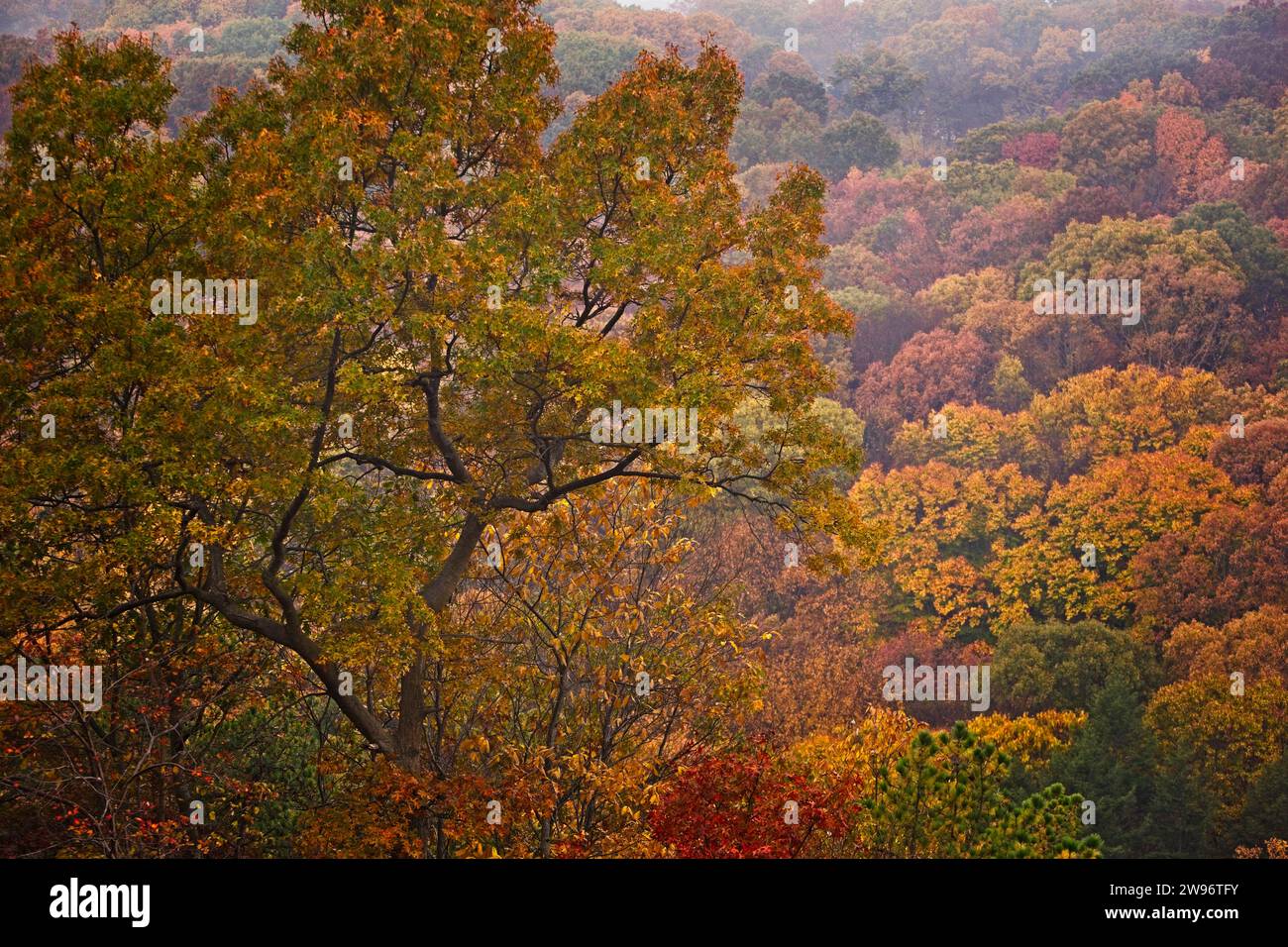 Beautiful vibrant colors along hi-res stock photography and images - Alamy