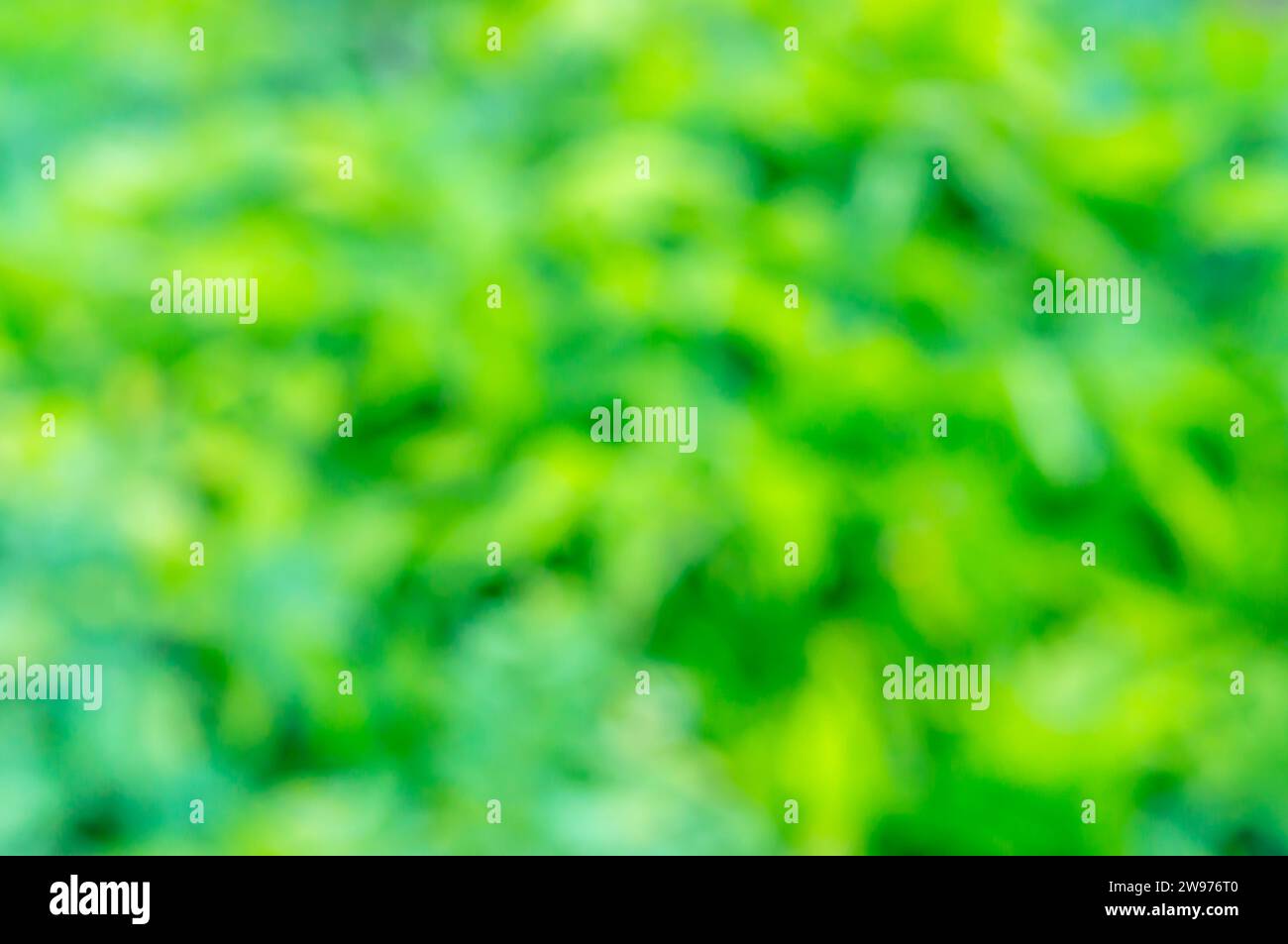 Blurred green leaf texture background hi-res stock photography and ...