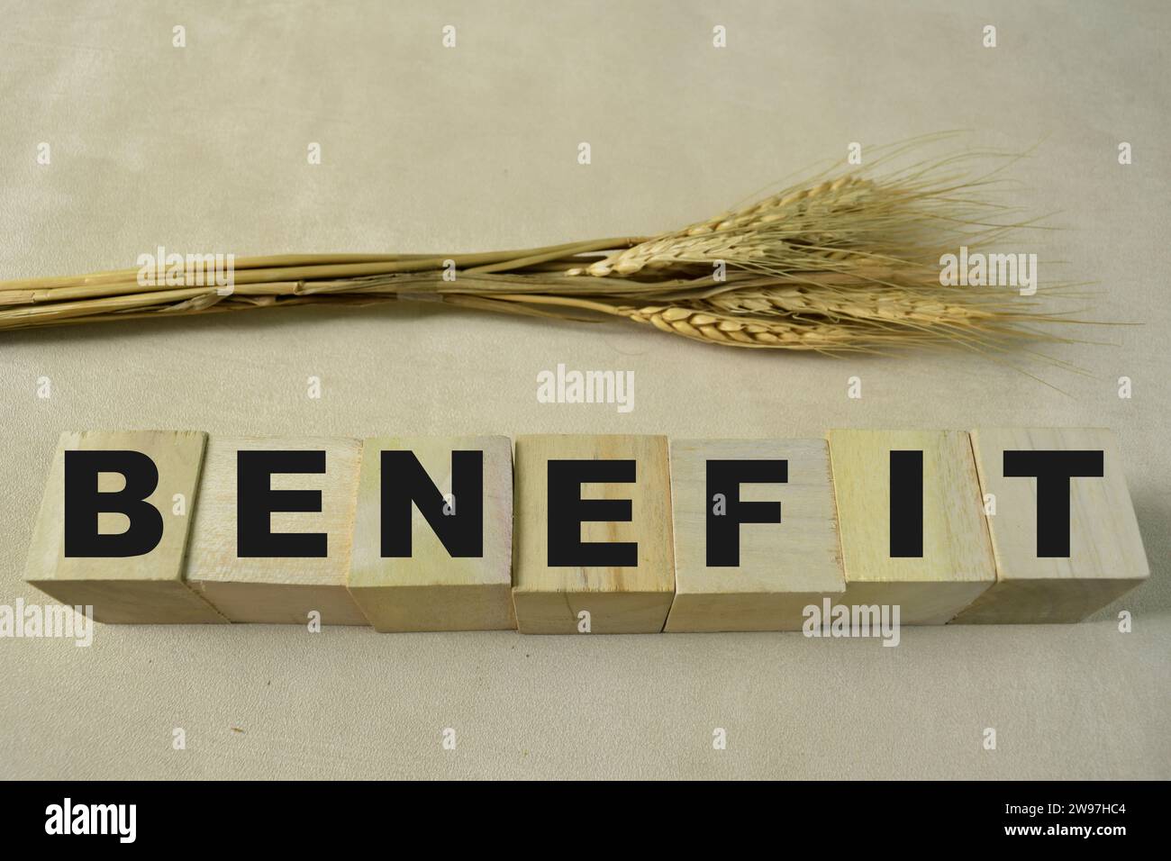Concept of The wooden Cubes with the word Benefit on wooden background. Stock Photo