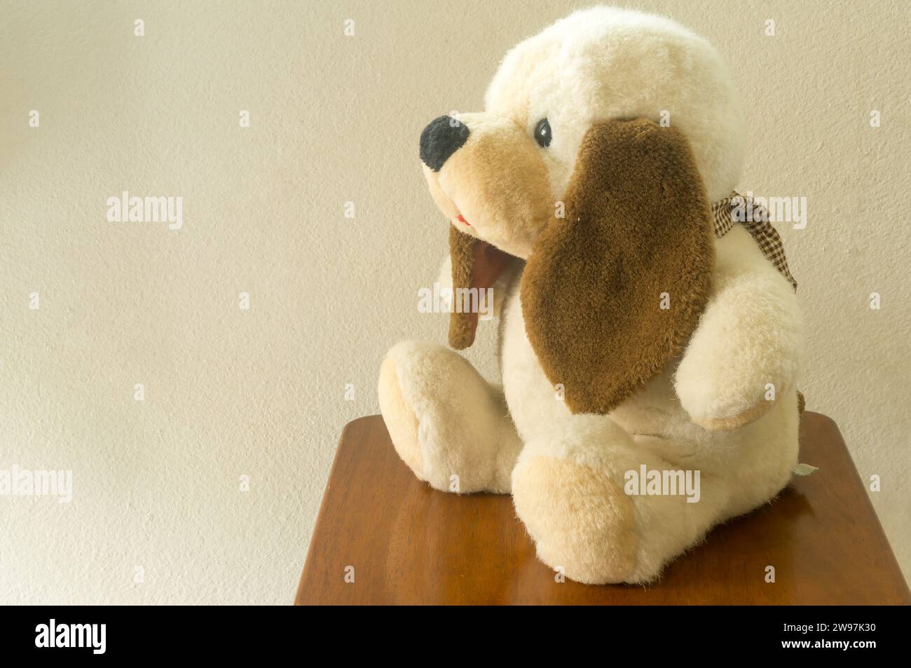 Adorable little dog doll is sitting on chair with side against the room wall with copy space for text. Cute plush pup doll for children or kids' play Stock Photo
