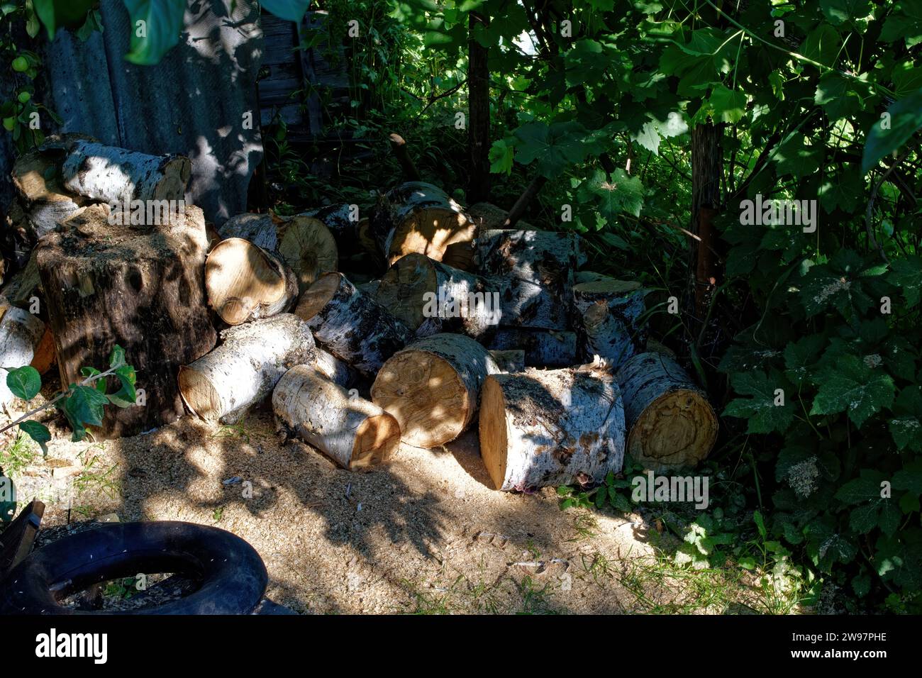 Pile of firewood in the garden in summer, Russia Stock Photo