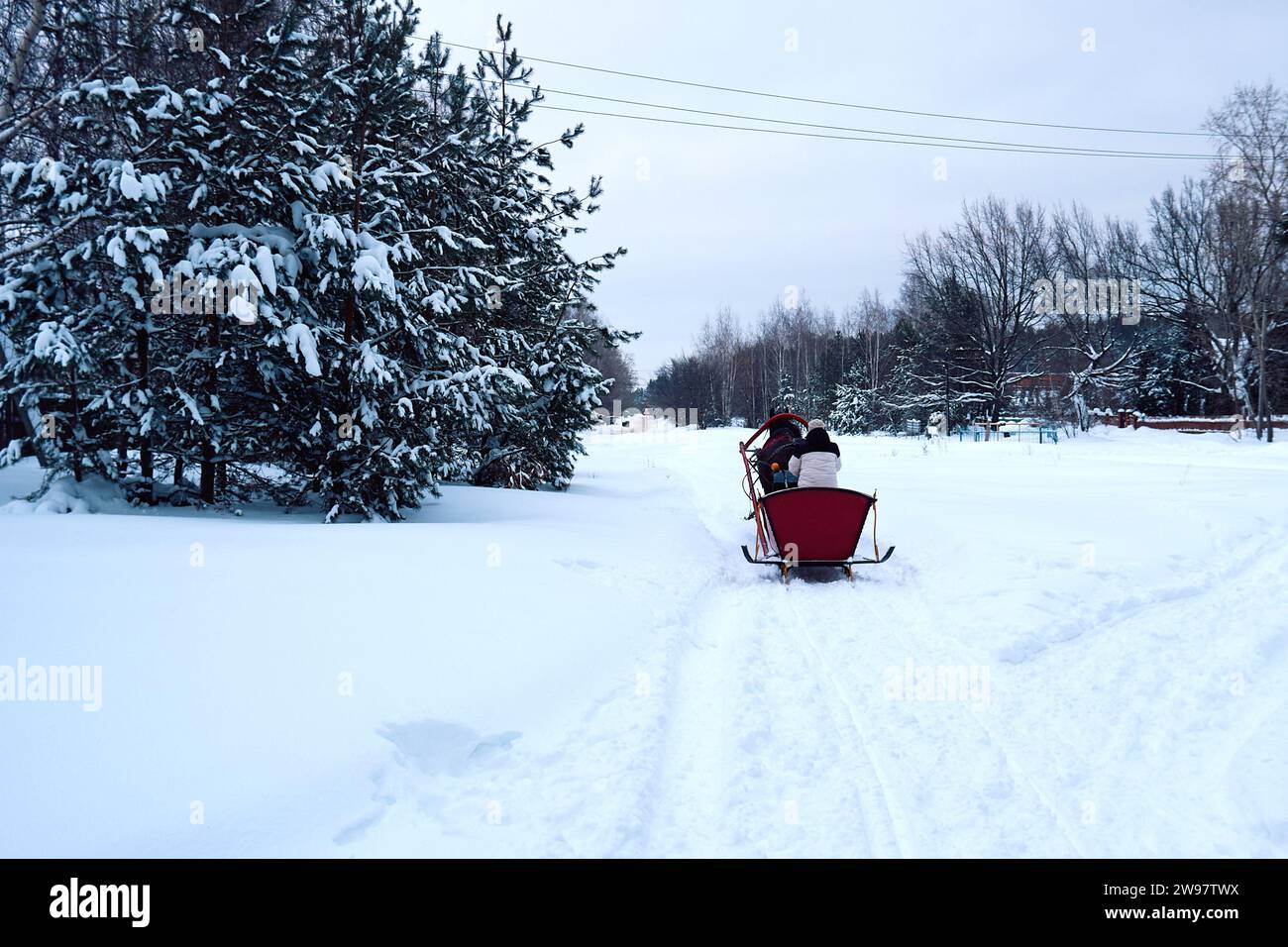 Ryazan, Russia - December 16, 2023: Horse harnessed to a sleigh on a ...