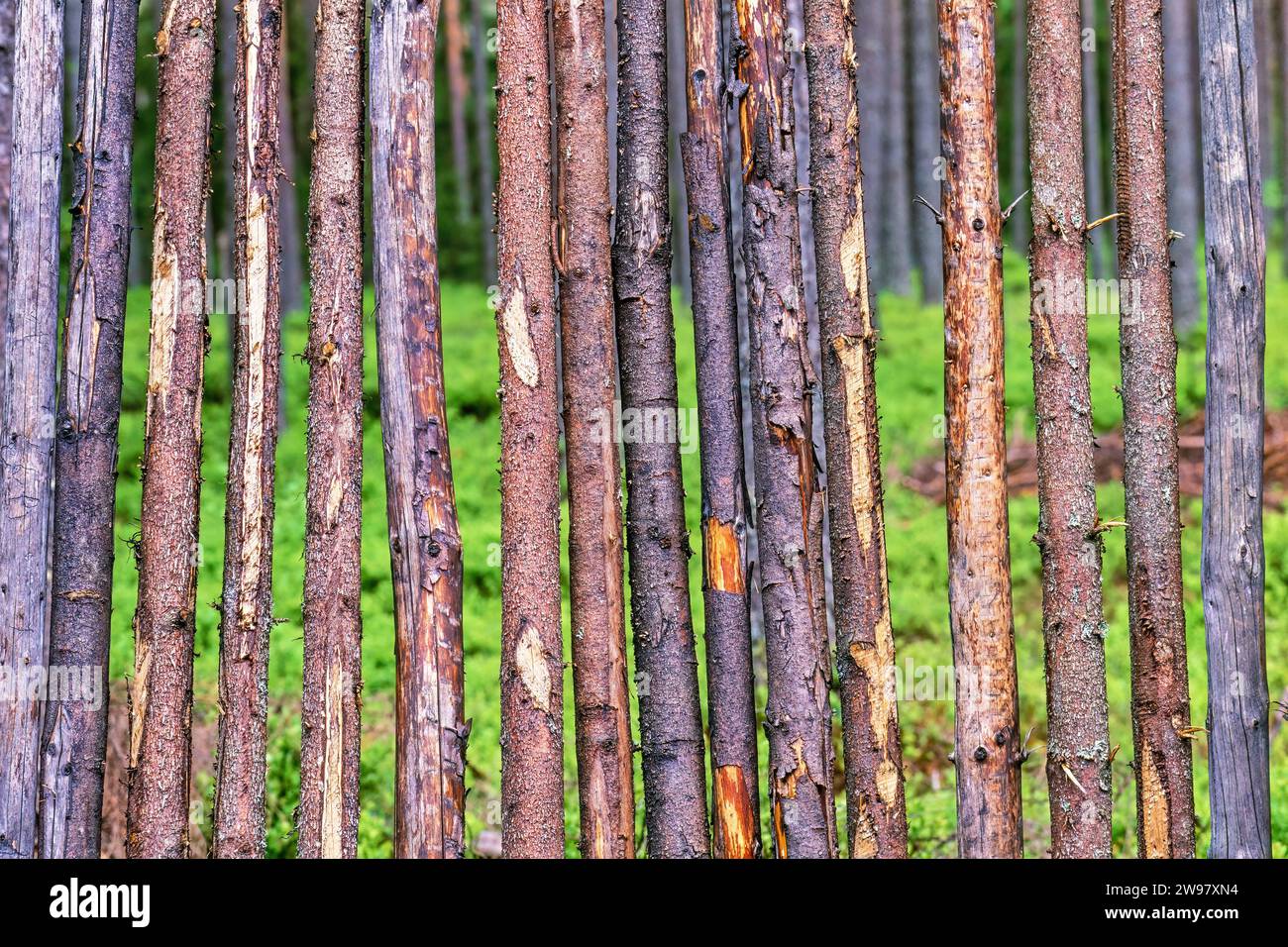Wooden posts fence hi-res stock photography and images - Alamy