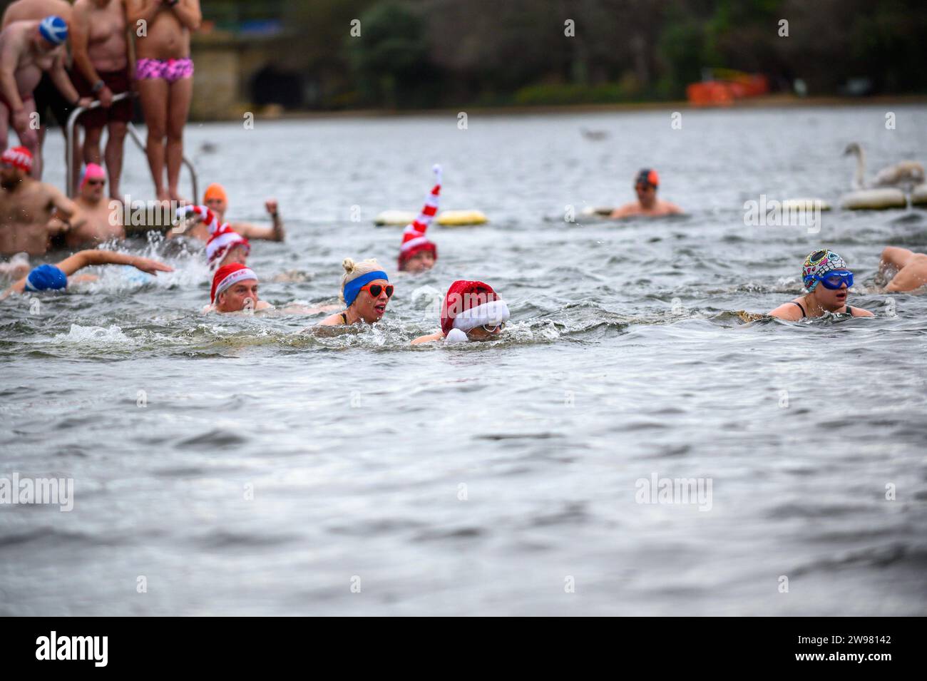 Peter pan cup serpentine hires stock photography and images Alamy